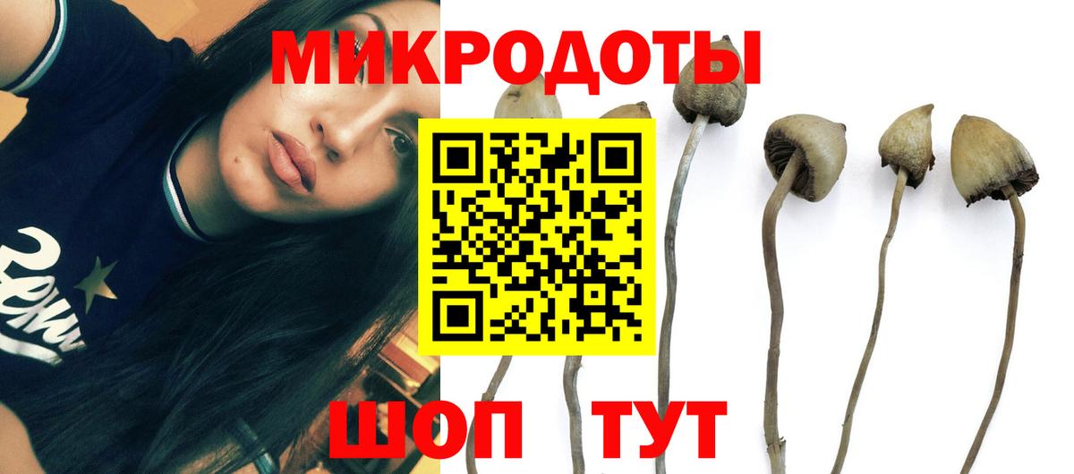 Галлюциногенные грибы ЛСД Москва